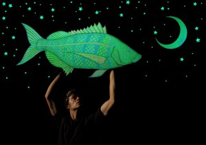 Jacobus van Heerden in Catch!