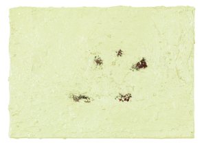 Ricky Burnett's Disasters of War.