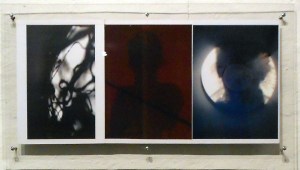 Trui Roozeveldt van der Ven's "In Search of Light"