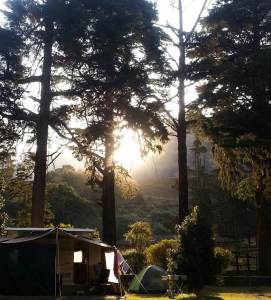 Jozi Lyon's Campers Paradise.