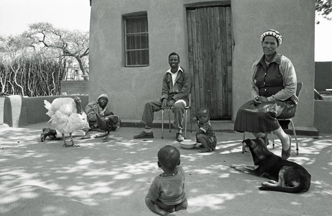 866943a Turkey and family at home Braklaagte 15 Apr BW&amp; 30 150