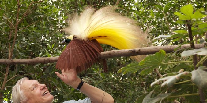 landscape_abp_final_7309716_7309706