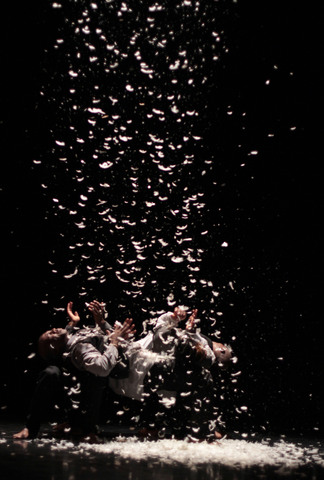 the-magnificent-feathers-production-photo-john-hogg