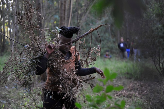 MBMS17_FATC_Forest_028ed