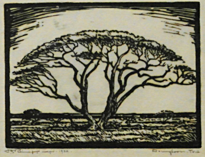 Jacob Hendrik Pierneef 'Doringboom Tvl' woodcut